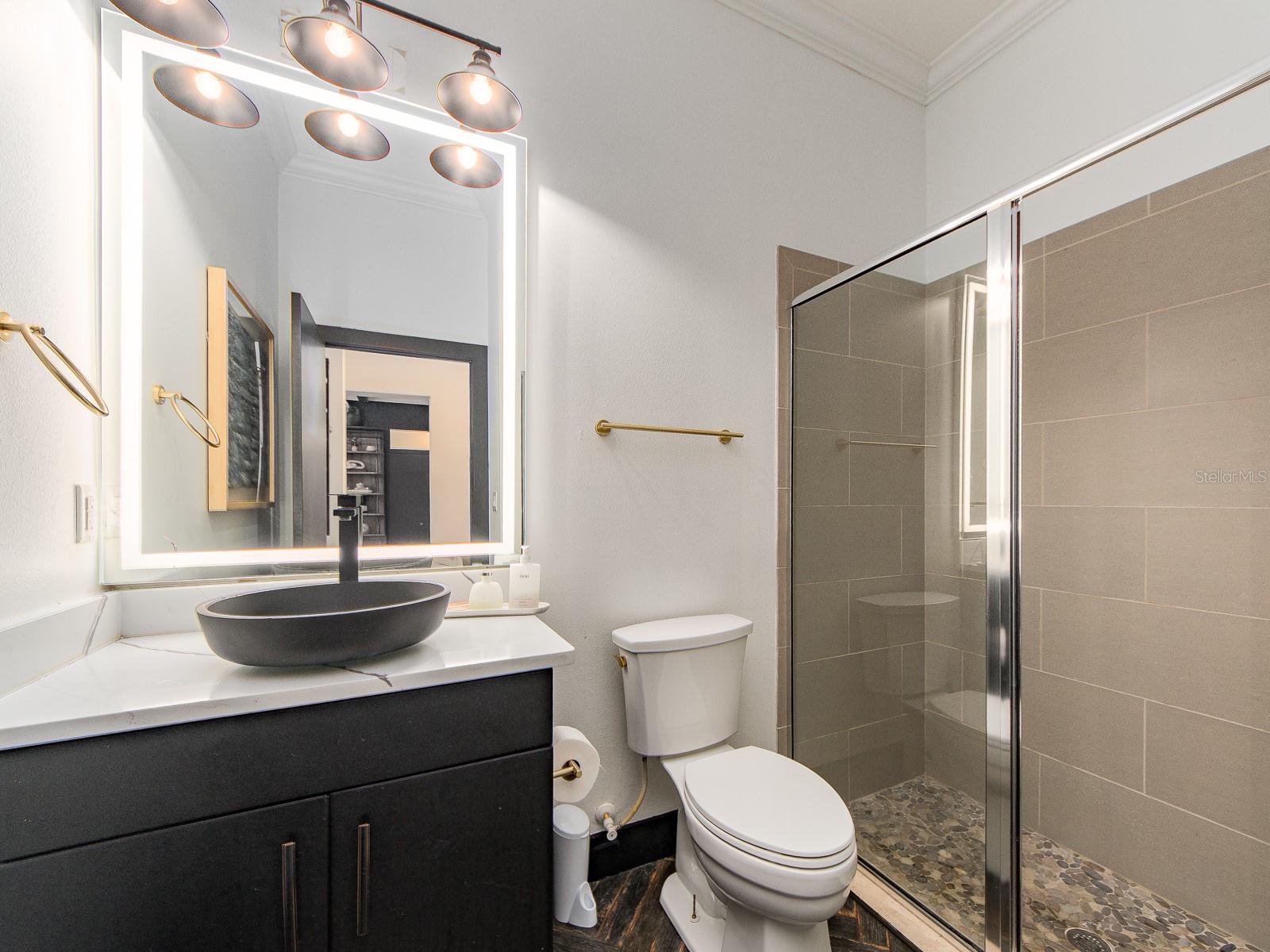 Full Bathroom off of Wine Room