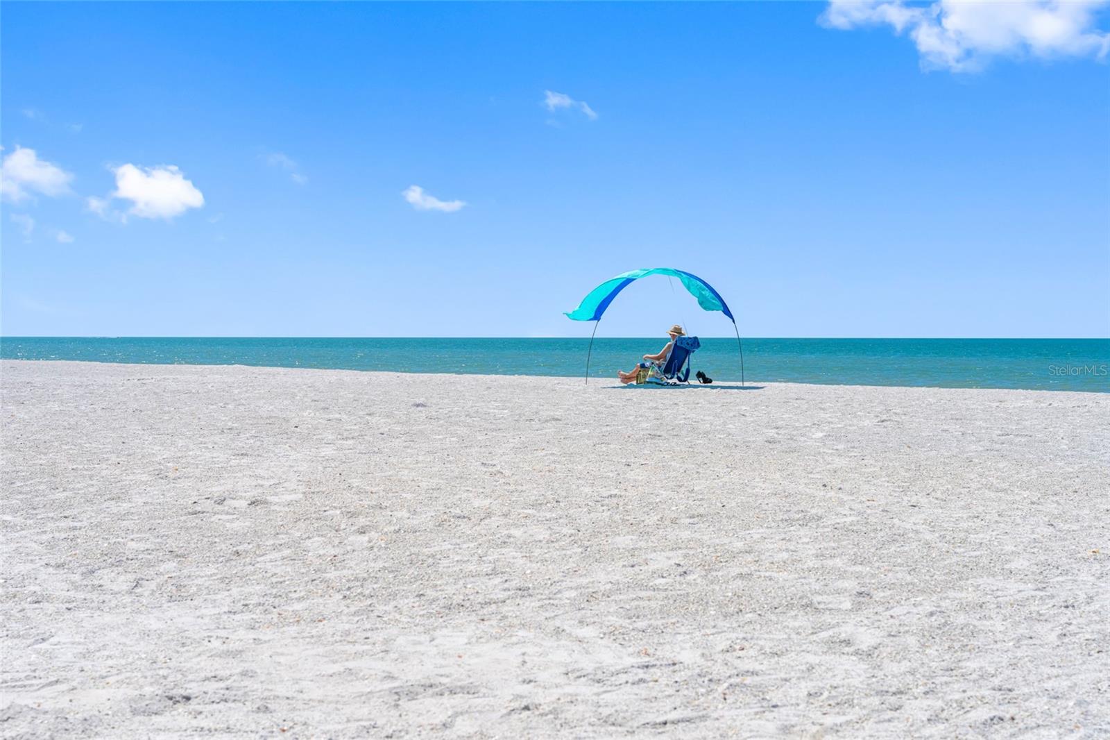 3100 GULF BLVD #431, BELLEAIR BEACH, FL, 33786