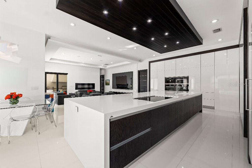 19002 DEER POINT PL, ODESSA, FL, 33556