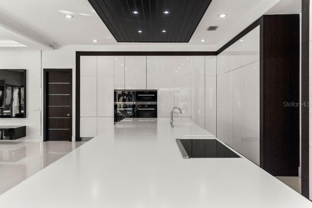 19002 DEER POINT PL, ODESSA, FL, 33556