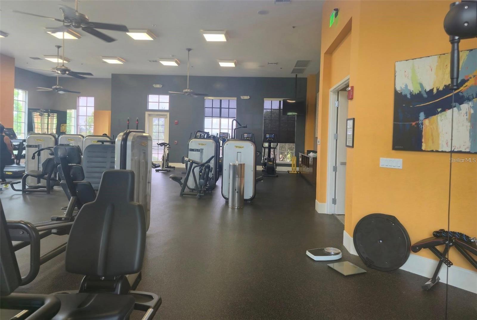 389 SILVER MAPLE RD, GROVELAND, FL, 34736