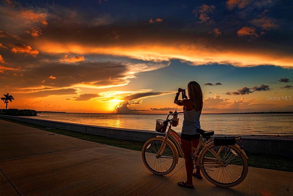 3972 LA COSTA ISLAND CT, PUNTA GORDA, FL, 33950