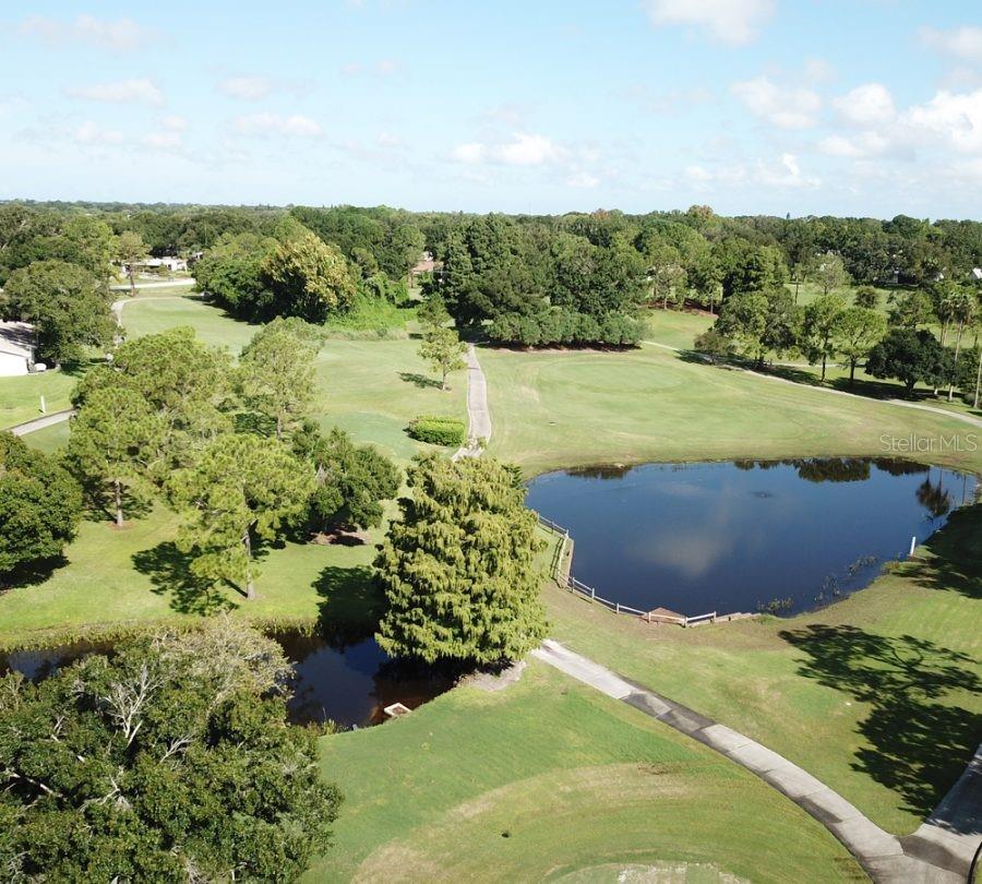 3957 TARPON POINTE CIR, PALM HARBOR, FL, 34684