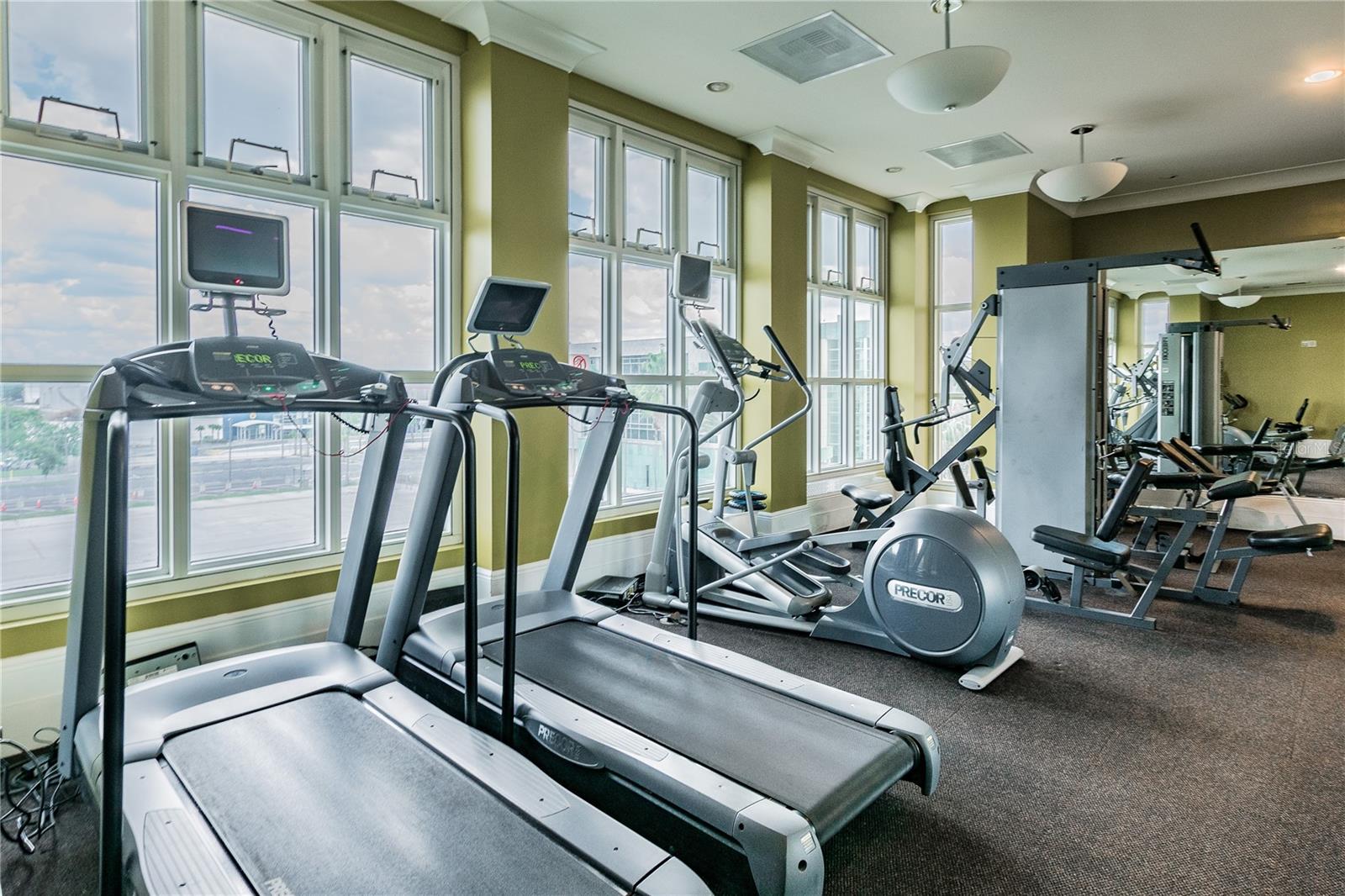 1227 E MADISON ST #503, TAMPA, FL, 33602