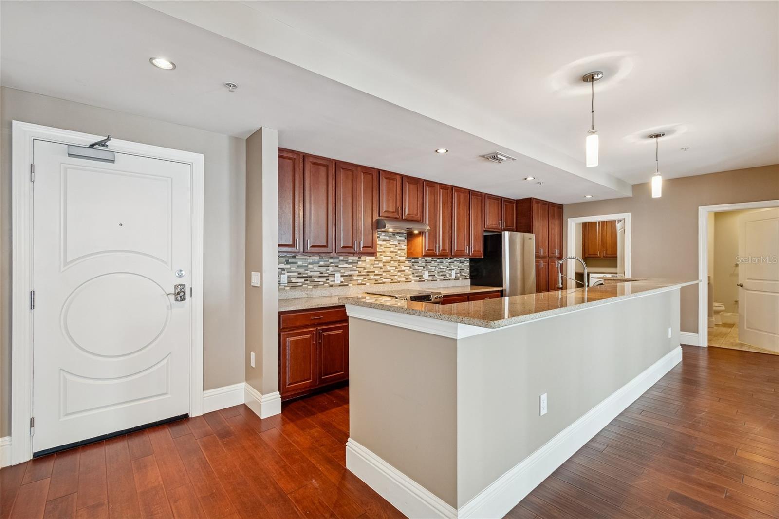 1227 E MADISON ST #503, TAMPA, FL, 33602