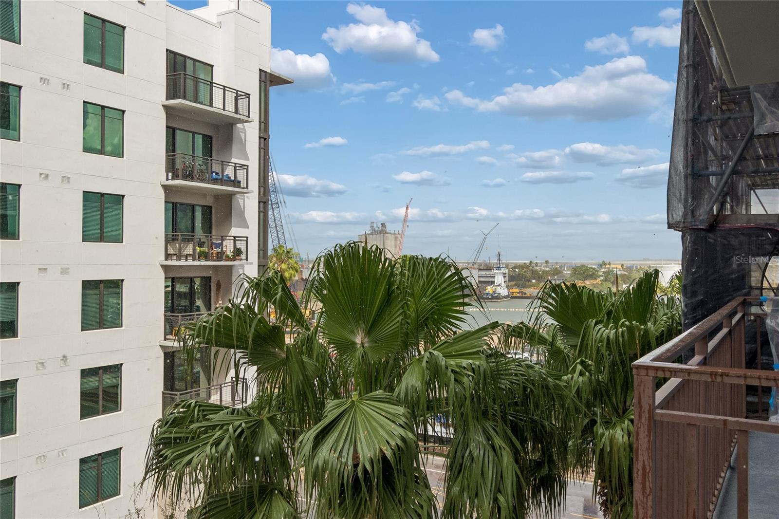 1227 E MADISON ST #503, TAMPA, FL, 33602