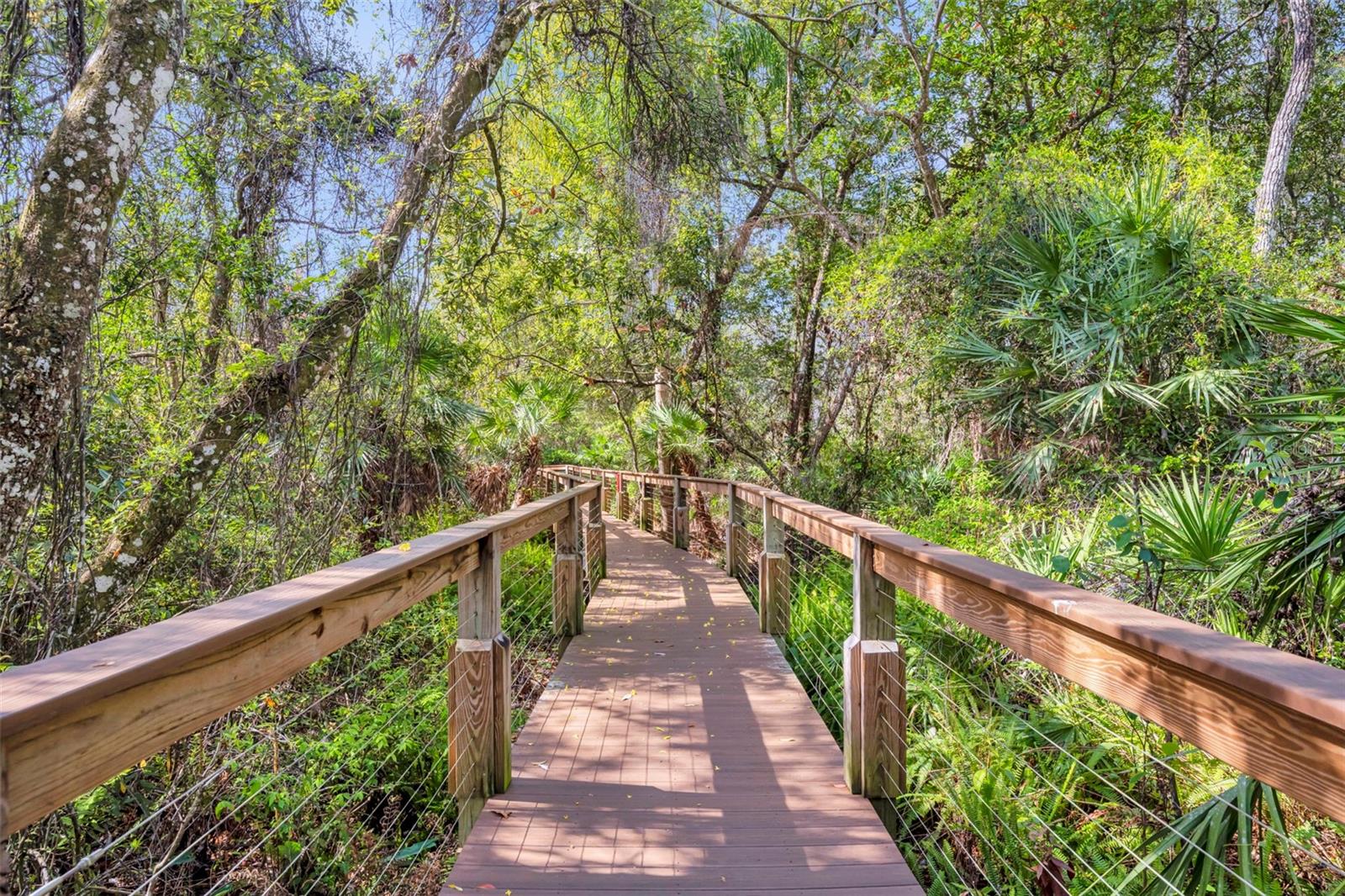 9467 BELMONT TER, OVIEDO, FL, 32765