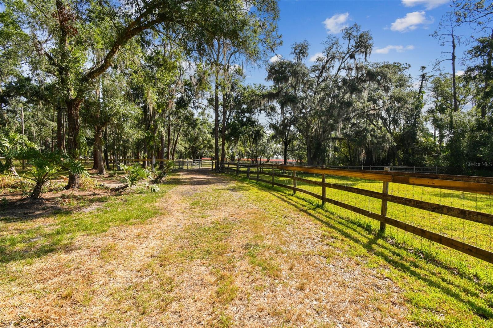 UNPLATTED, WIMAUMA, FL, 33598