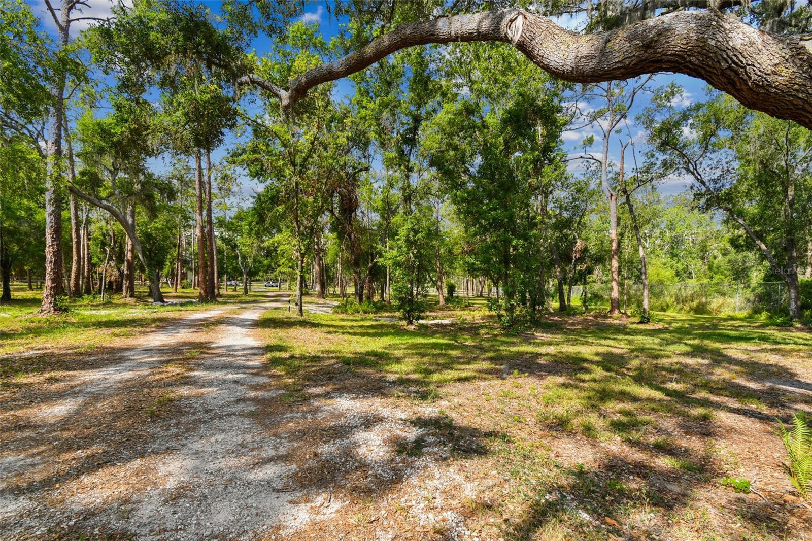 UNPLATTED, WIMAUMA, FL, 33598