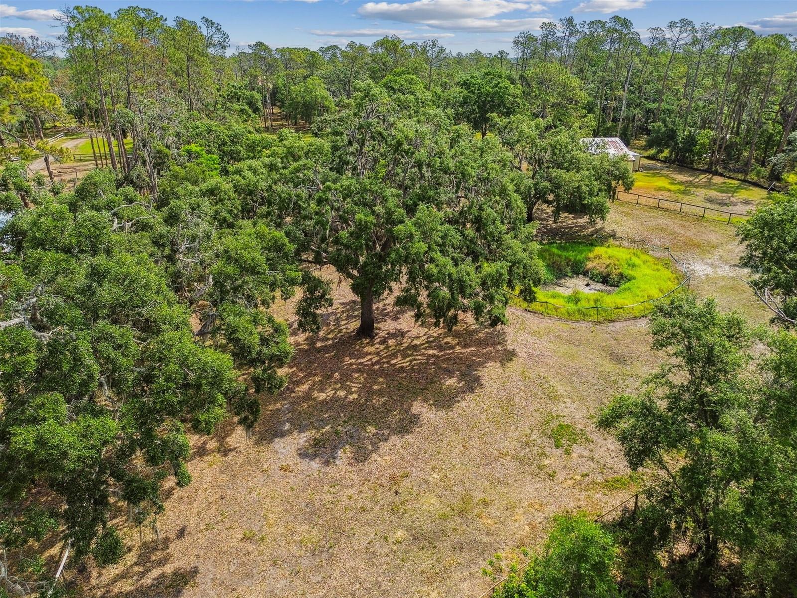 UNPLATTED, WIMAUMA, FL, 33598