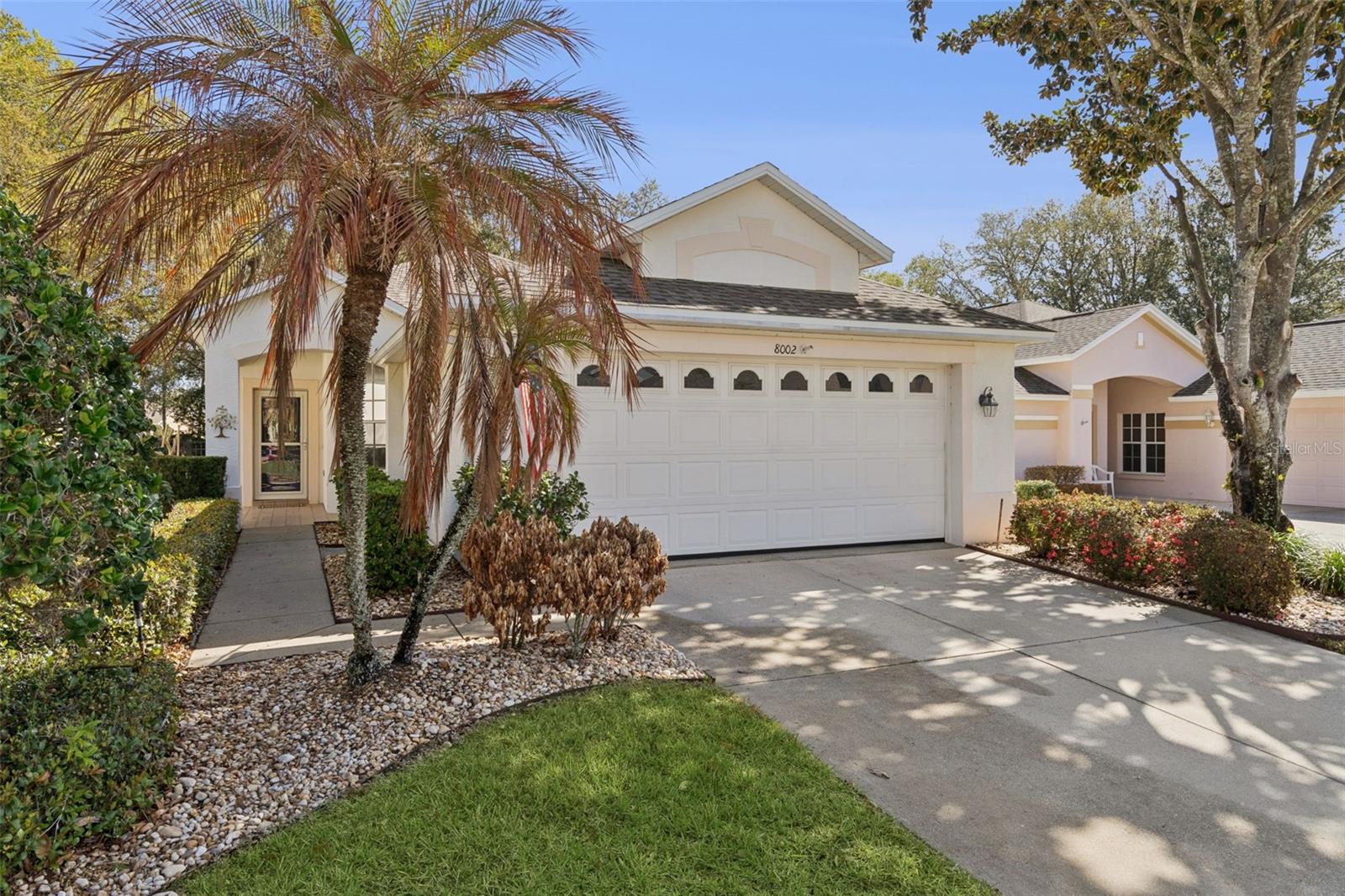 8002 ARCADIAN CT, MOUNT DORA, FL, 32757