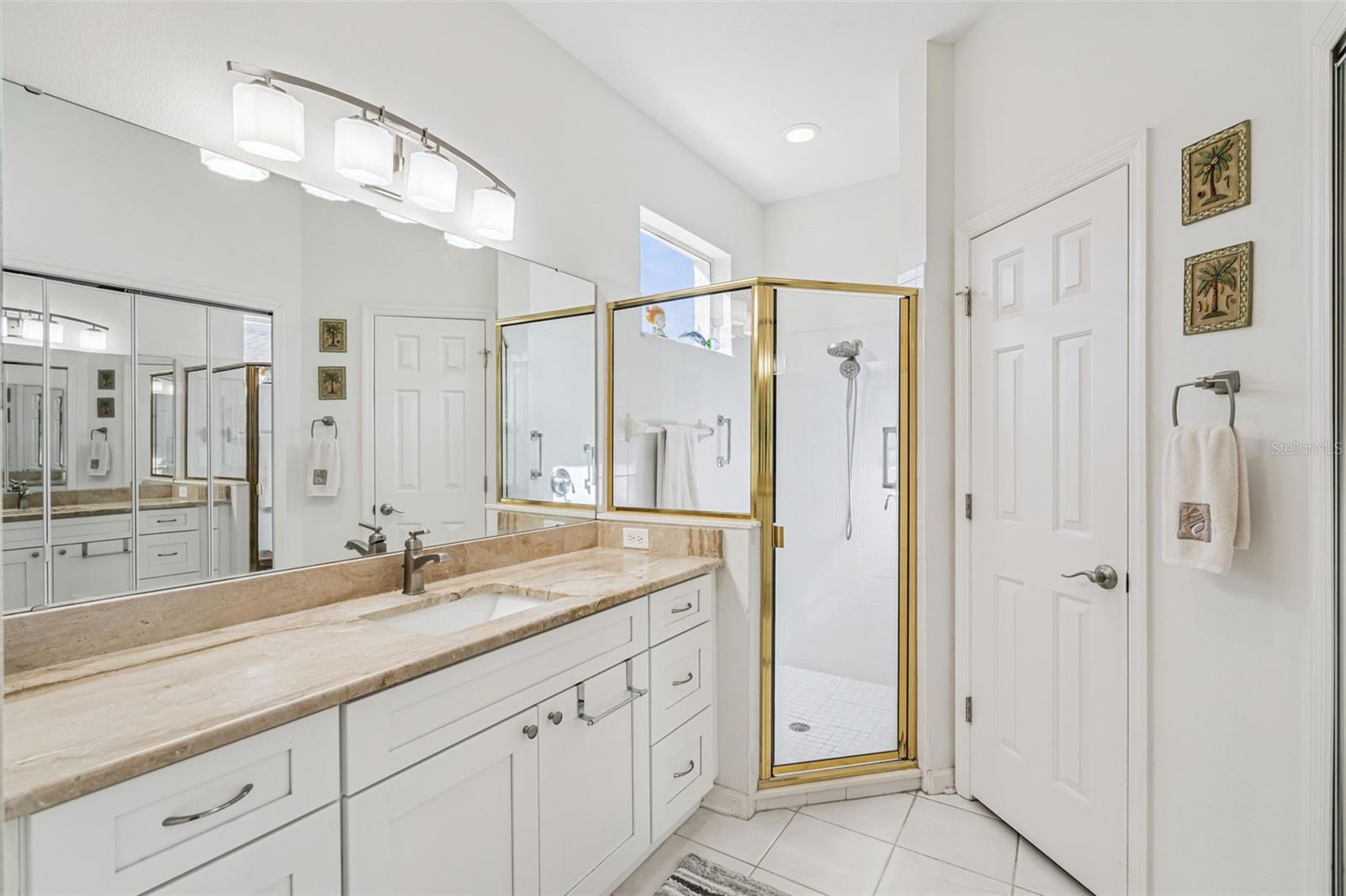 8002 ARCADIAN CT, MOUNT DORA, FL, 32757