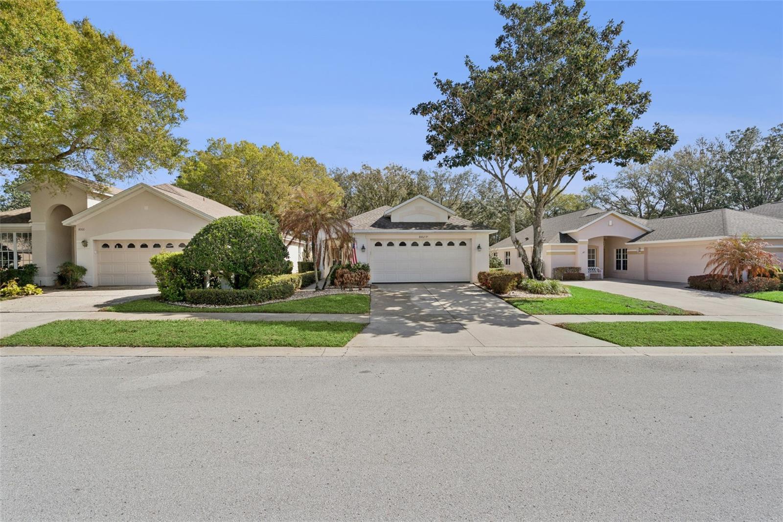 8002 ARCADIAN CT, MOUNT DORA, FL, 32757