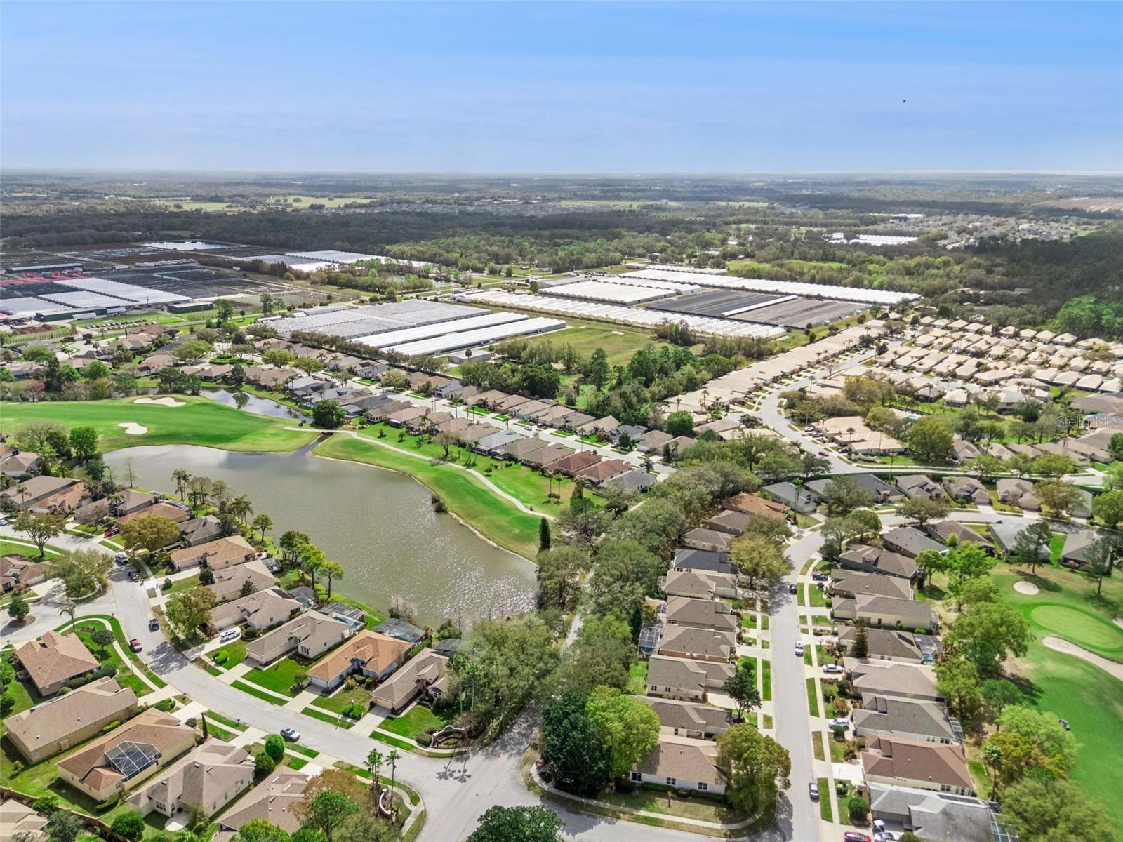 8002 ARCADIAN CT, MOUNT DORA, FL, 32757