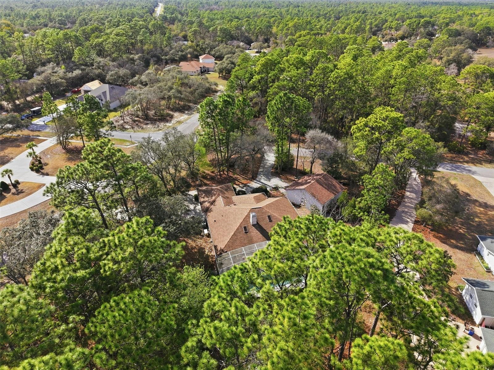 3563 W BLOSSOM DR, BEVERLY HILLS, FL, 34465