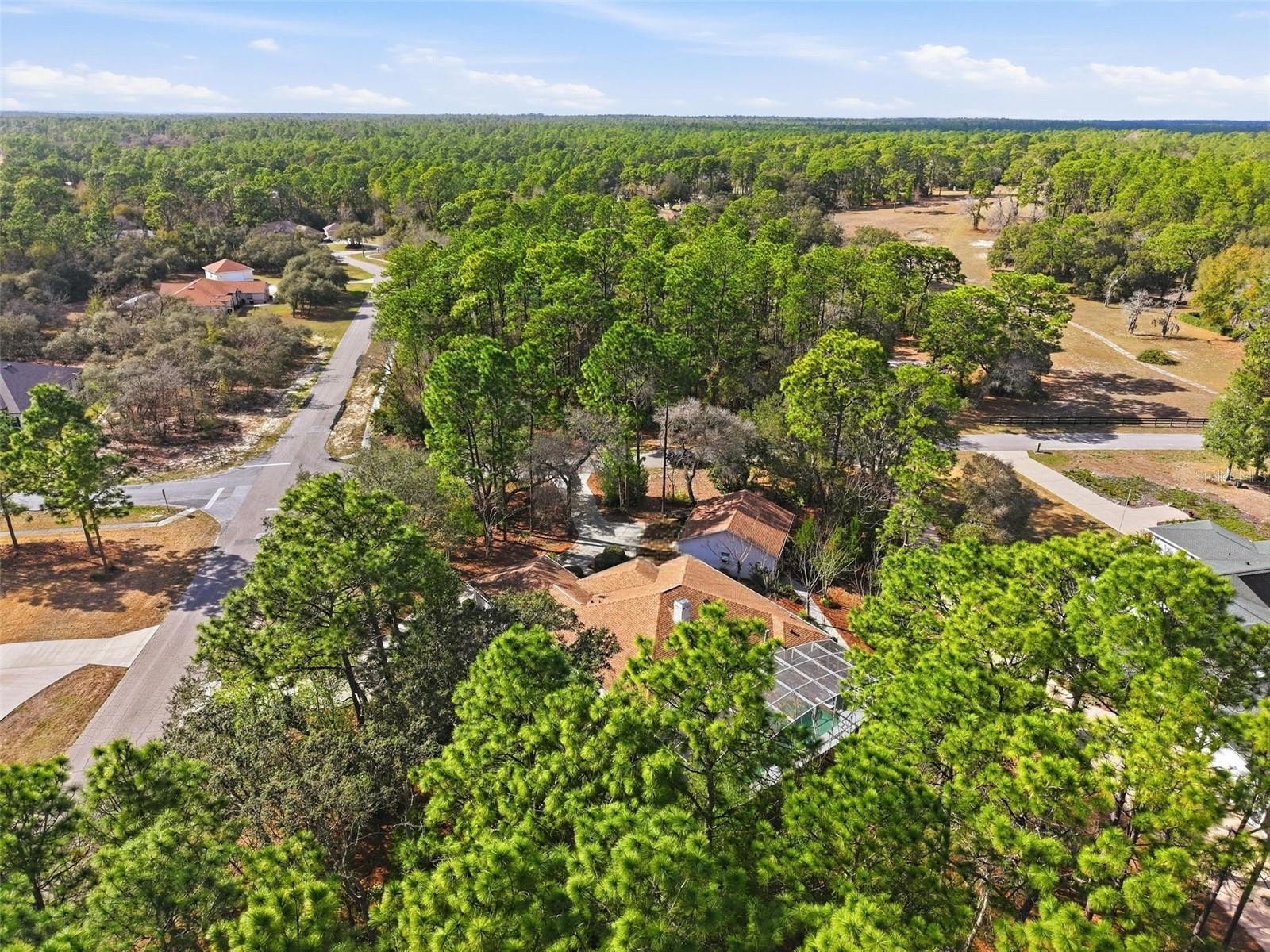 3563 W BLOSSOM DR, BEVERLY HILLS, FL, 34465
