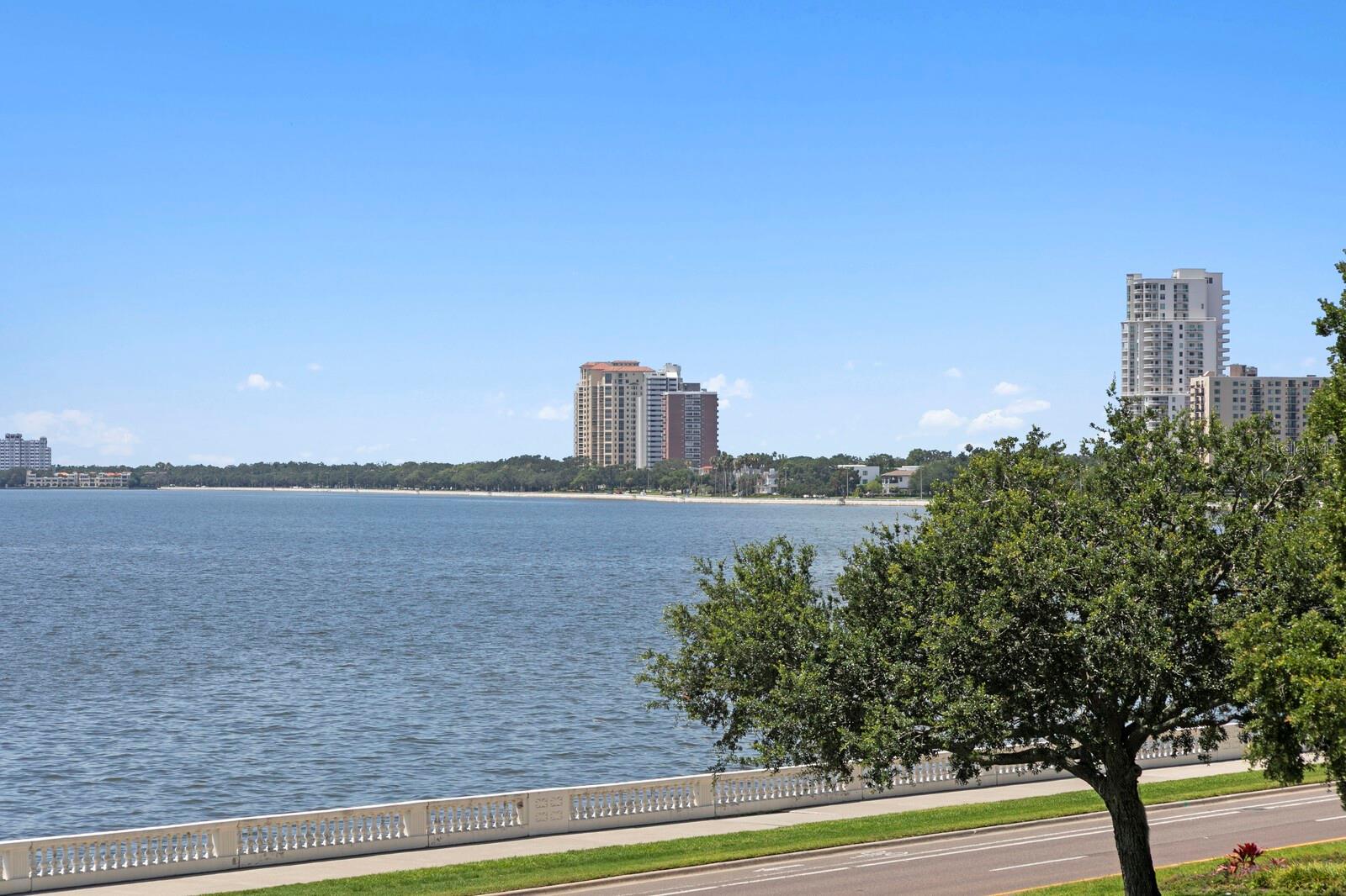 2619 BAYSHORE BLVD #200, TAMPA, FL, 33629