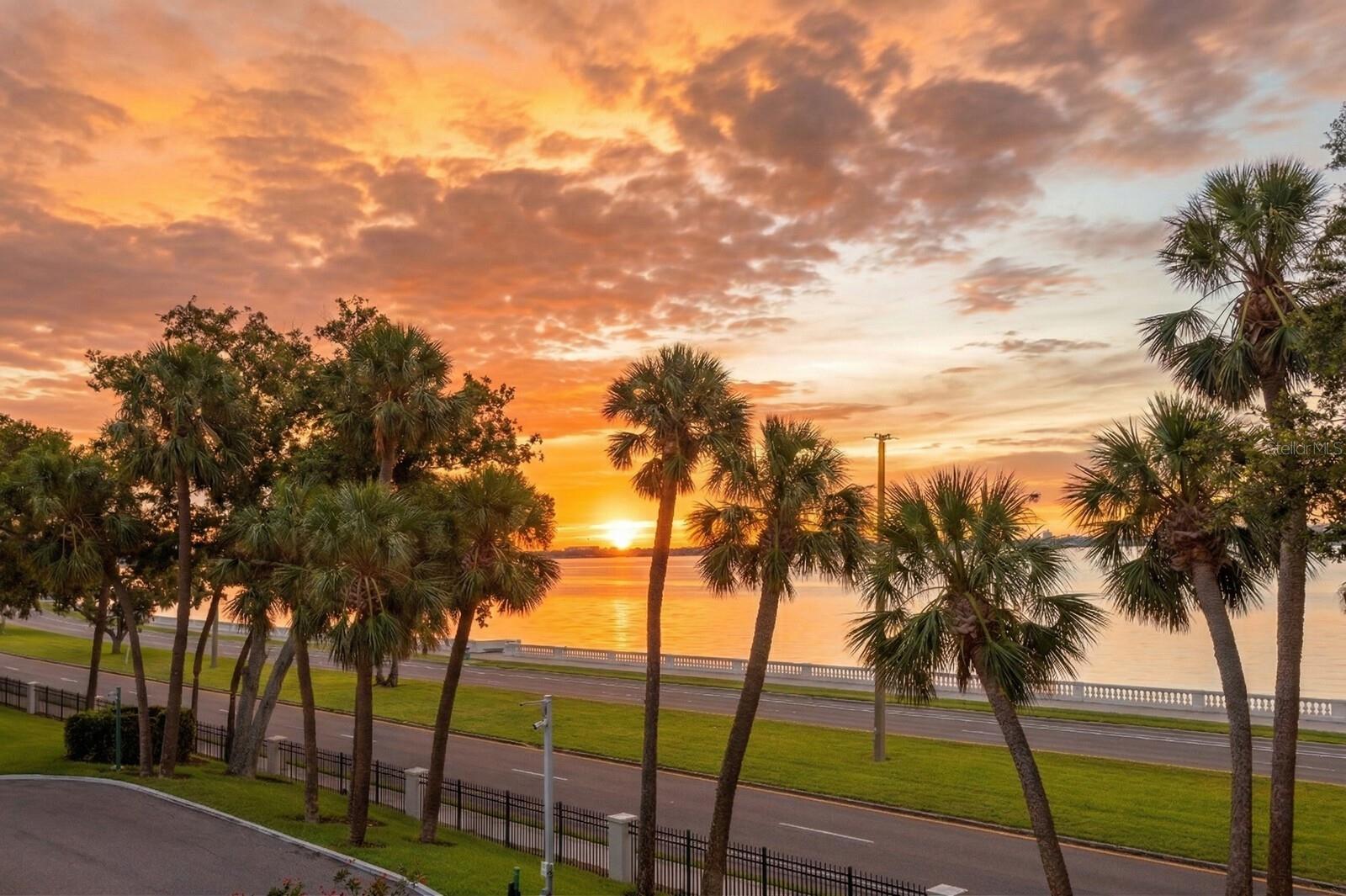 2619 BAYSHORE BLVD #200, TAMPA, FL, 33629