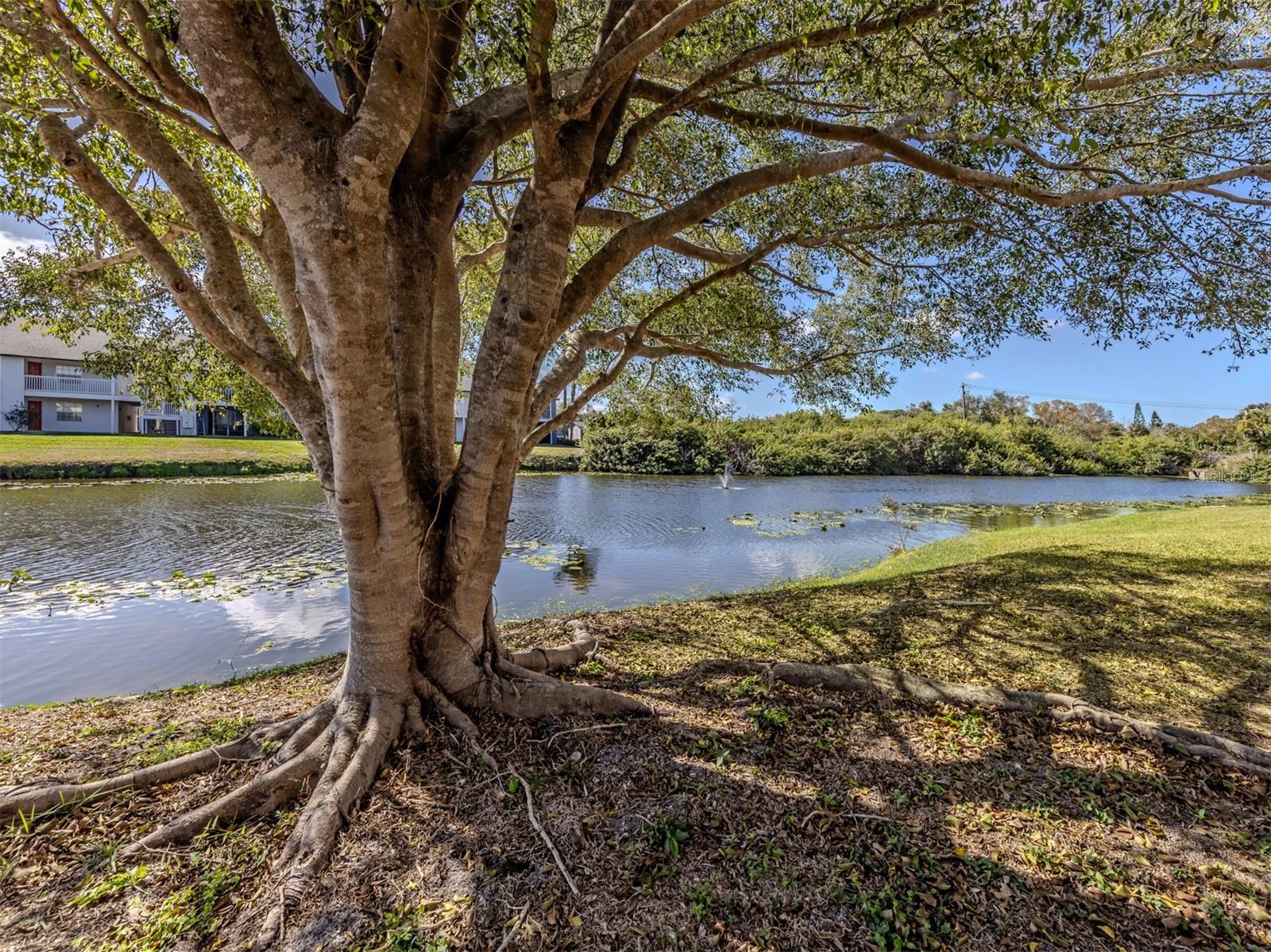 2616 HIDDEN LAKE DR N #A, SARASOTA, FL, 34237