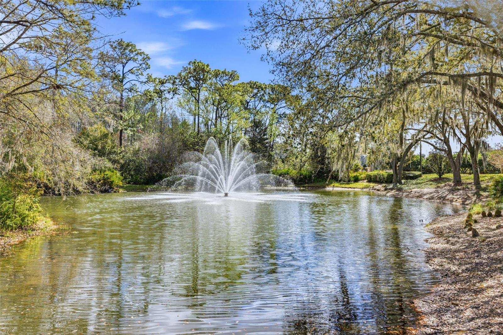 Water Fountain