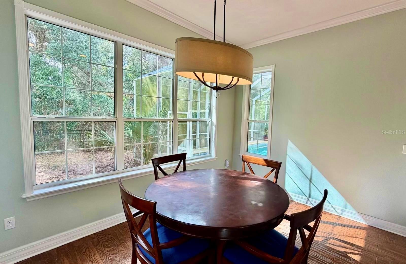 7 WHITEHALL CT, FLAGLER BEACH, FL, 32136