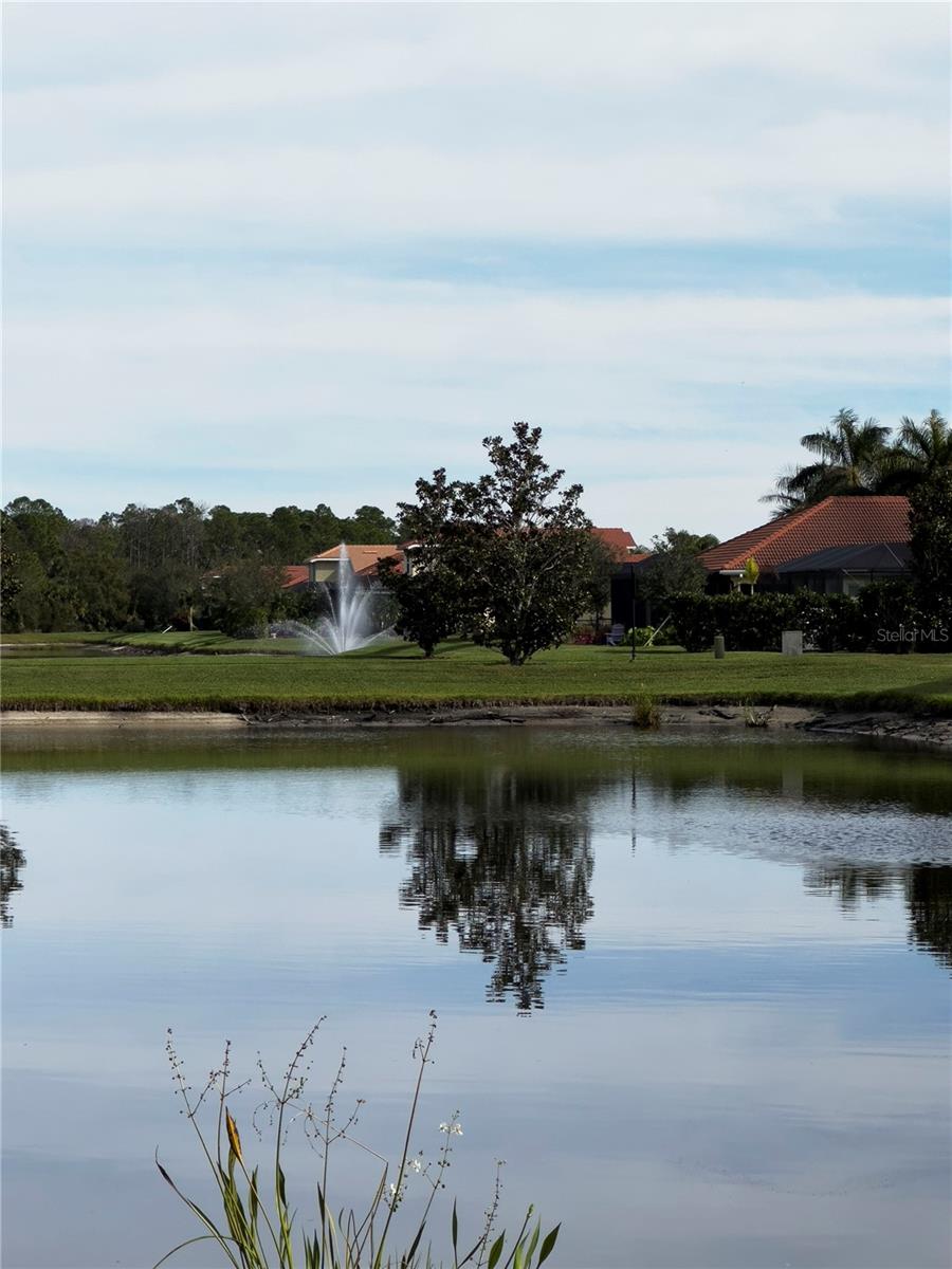 11487 BLACKFIN ST, VENICE, FL, 34292