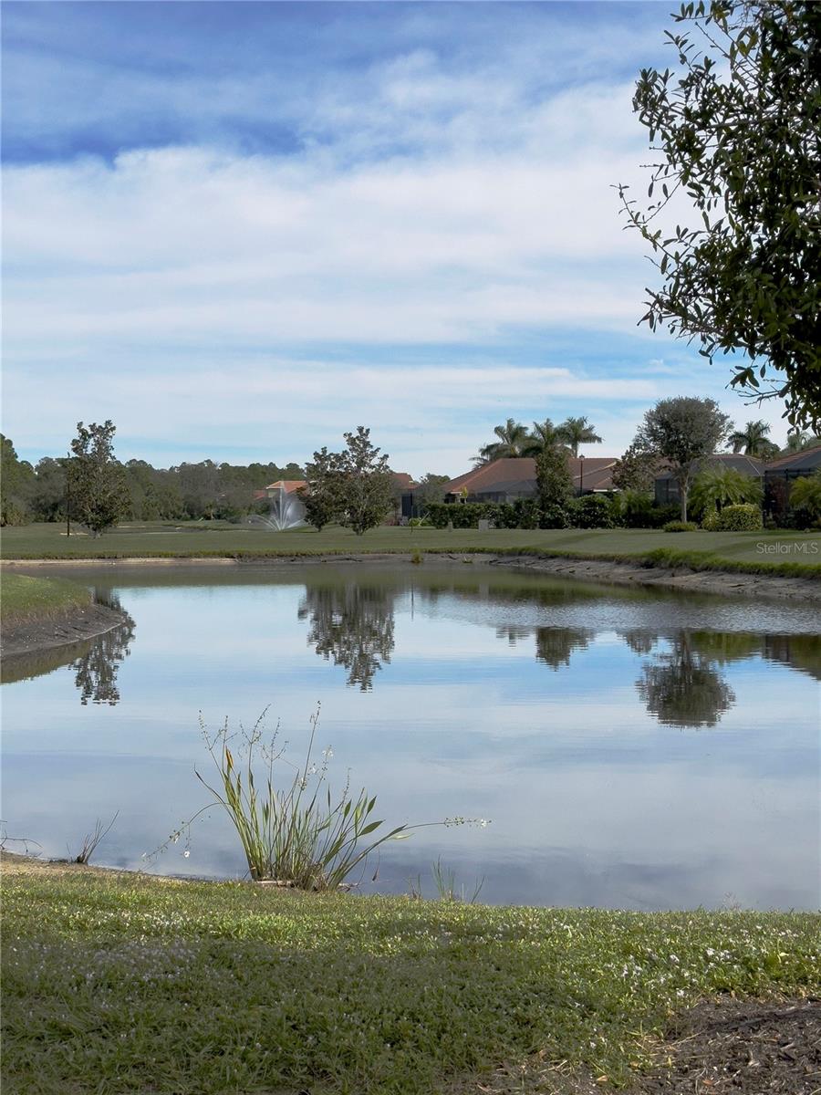 11487 BLACKFIN ST, VENICE, FL, 34292