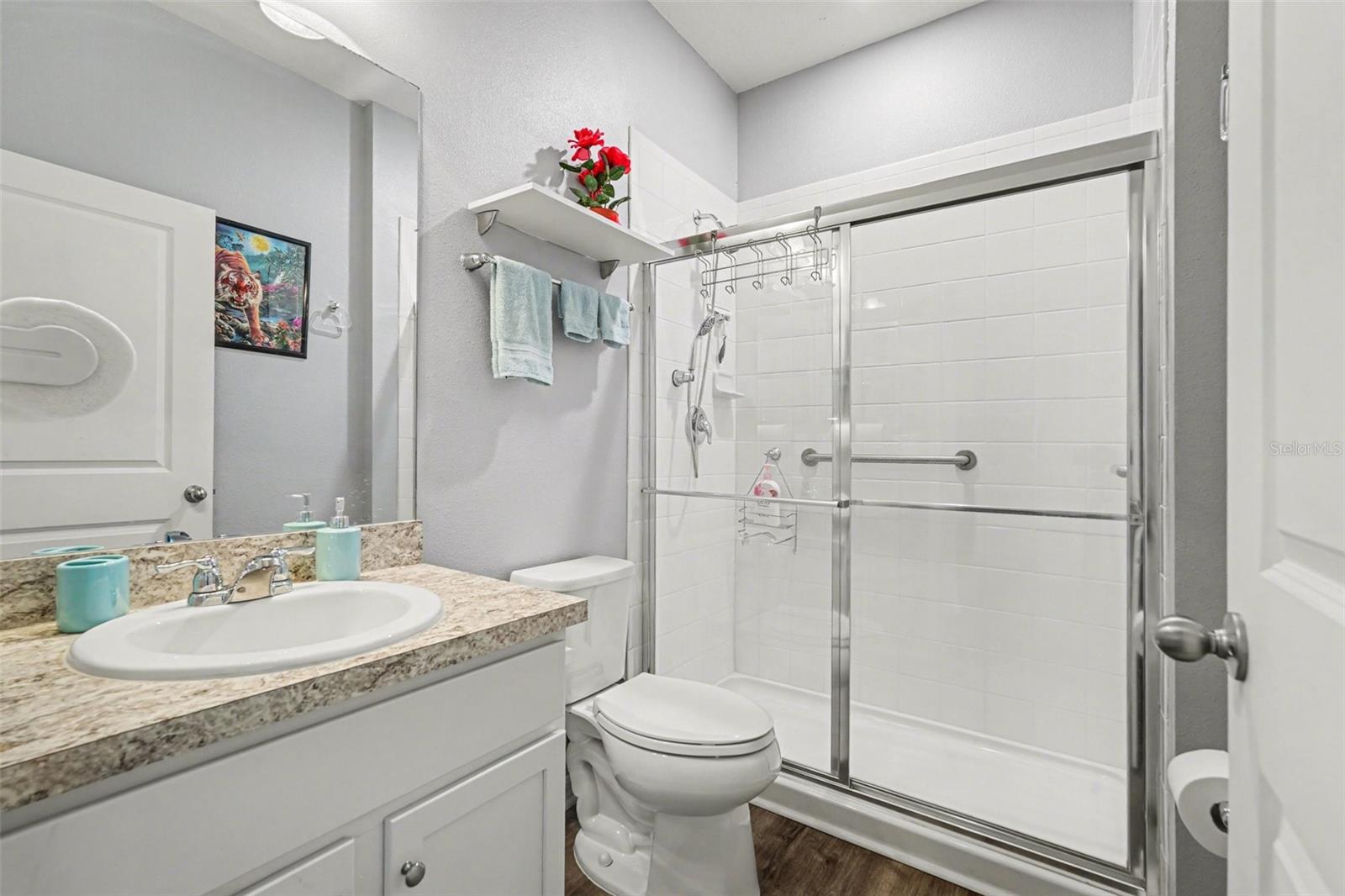 10617 ALDO MORO DR, WIMAUMA, FL, 33598