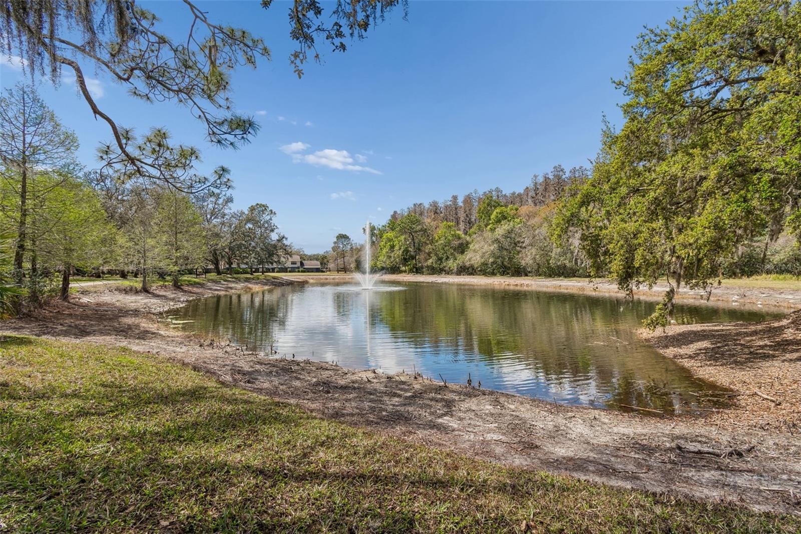 5100 BURCHETTE RD #2900, TAMPA, FL, 33647