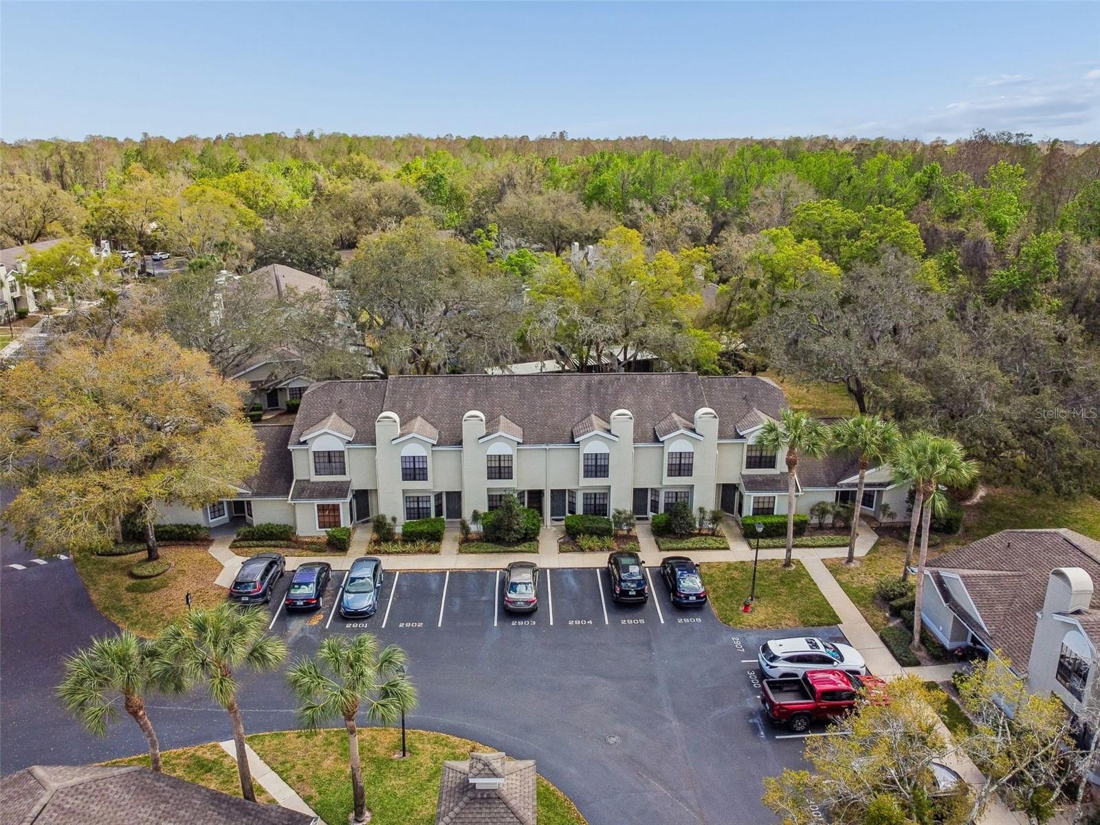 5100 BURCHETTE RD #2900, TAMPA, FL, 33647