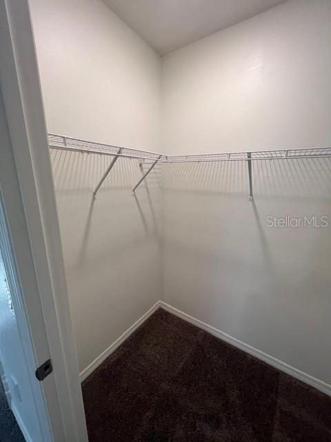 113 FELTRIM RESERVE BLVD, DAVENPORT, FL, 33837