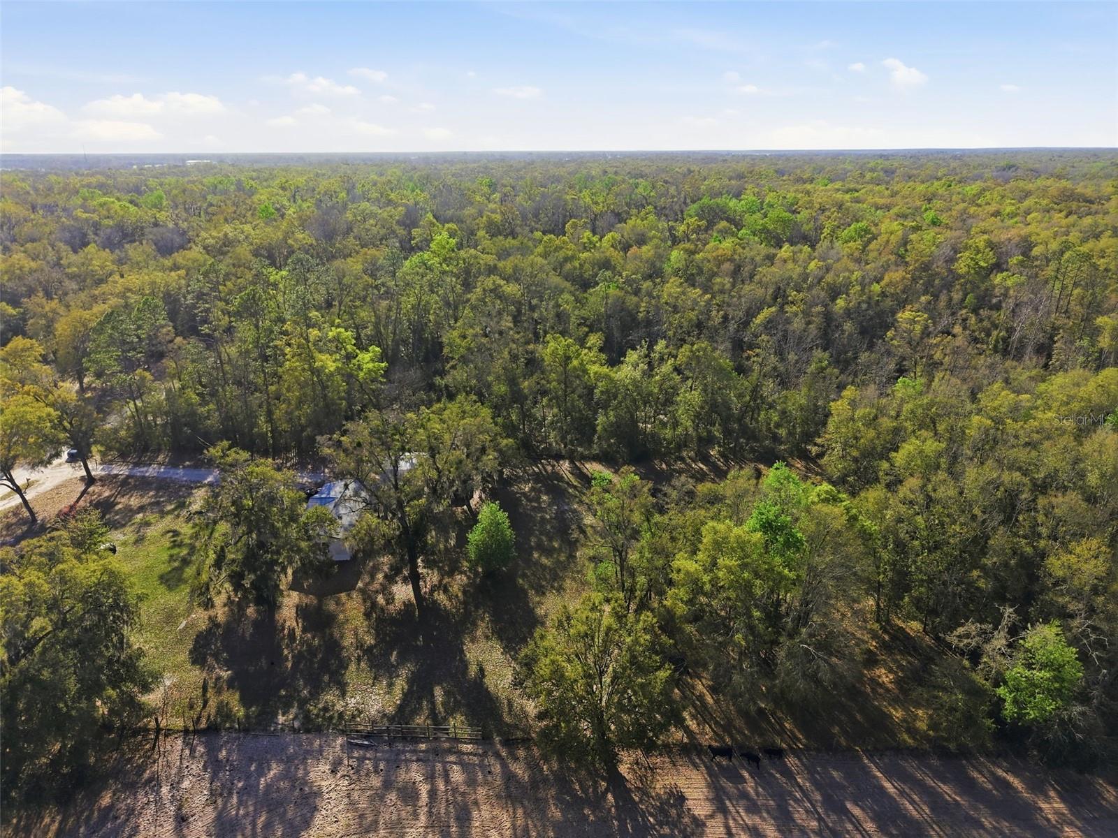 144 NE 159TH AVE, OLD TOWN, FL, 32680