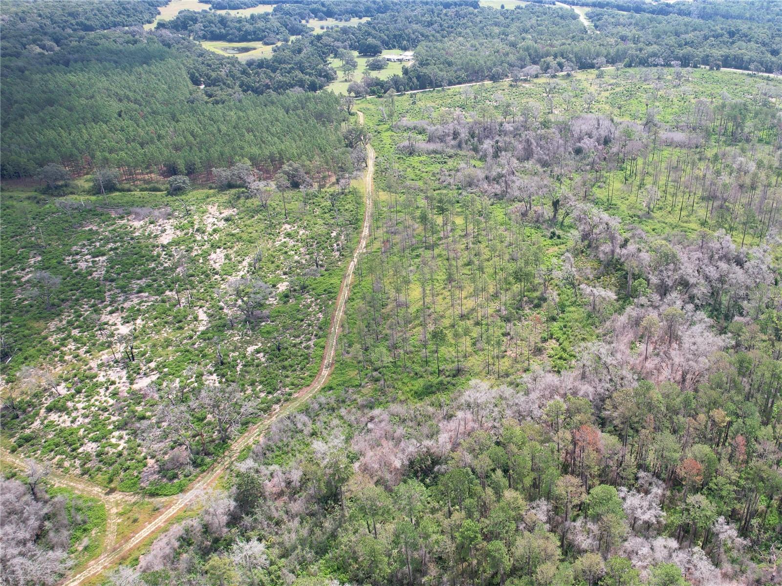 7112 N LECANTO HWY HWY, HERNANDO, FL, 34442