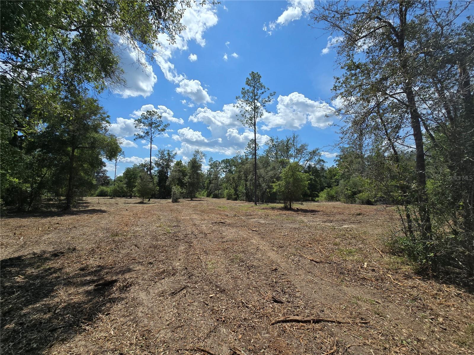 7112 N LECANTO HWY HWY, HERNANDO, FL, 34442