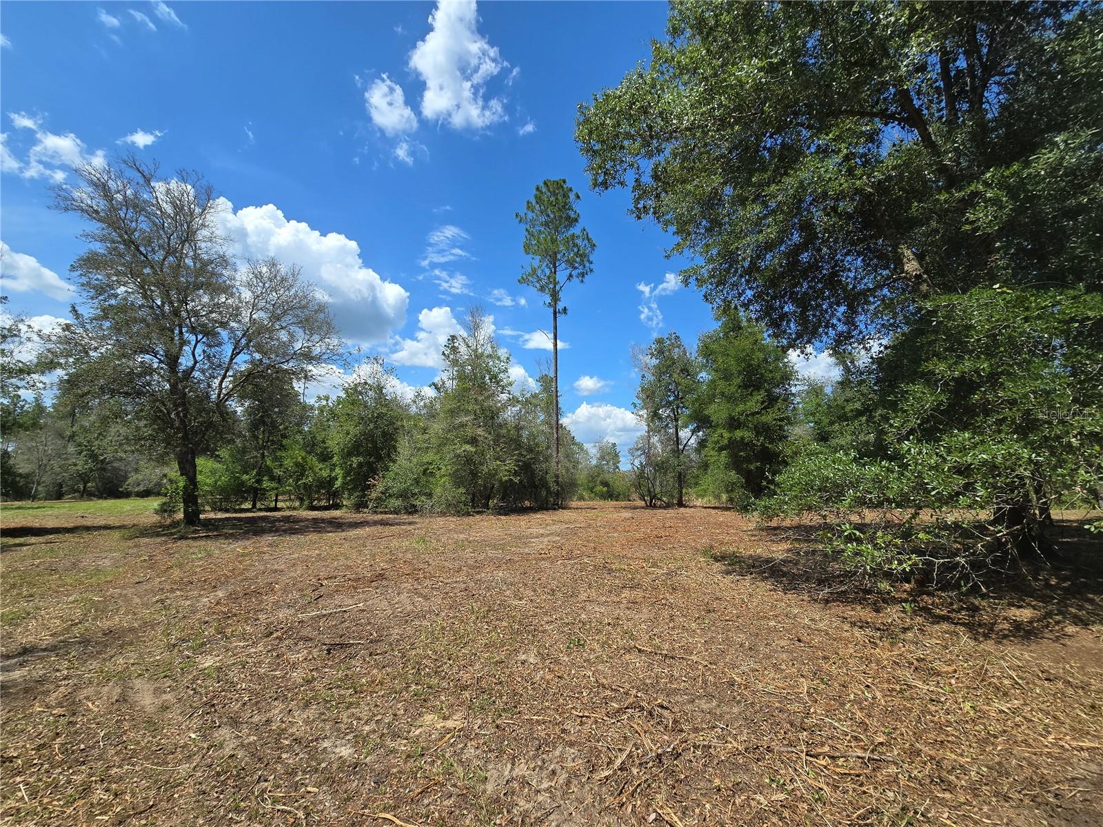 7112 N LECANTO HWY HWY, HERNANDO, FL, 34442