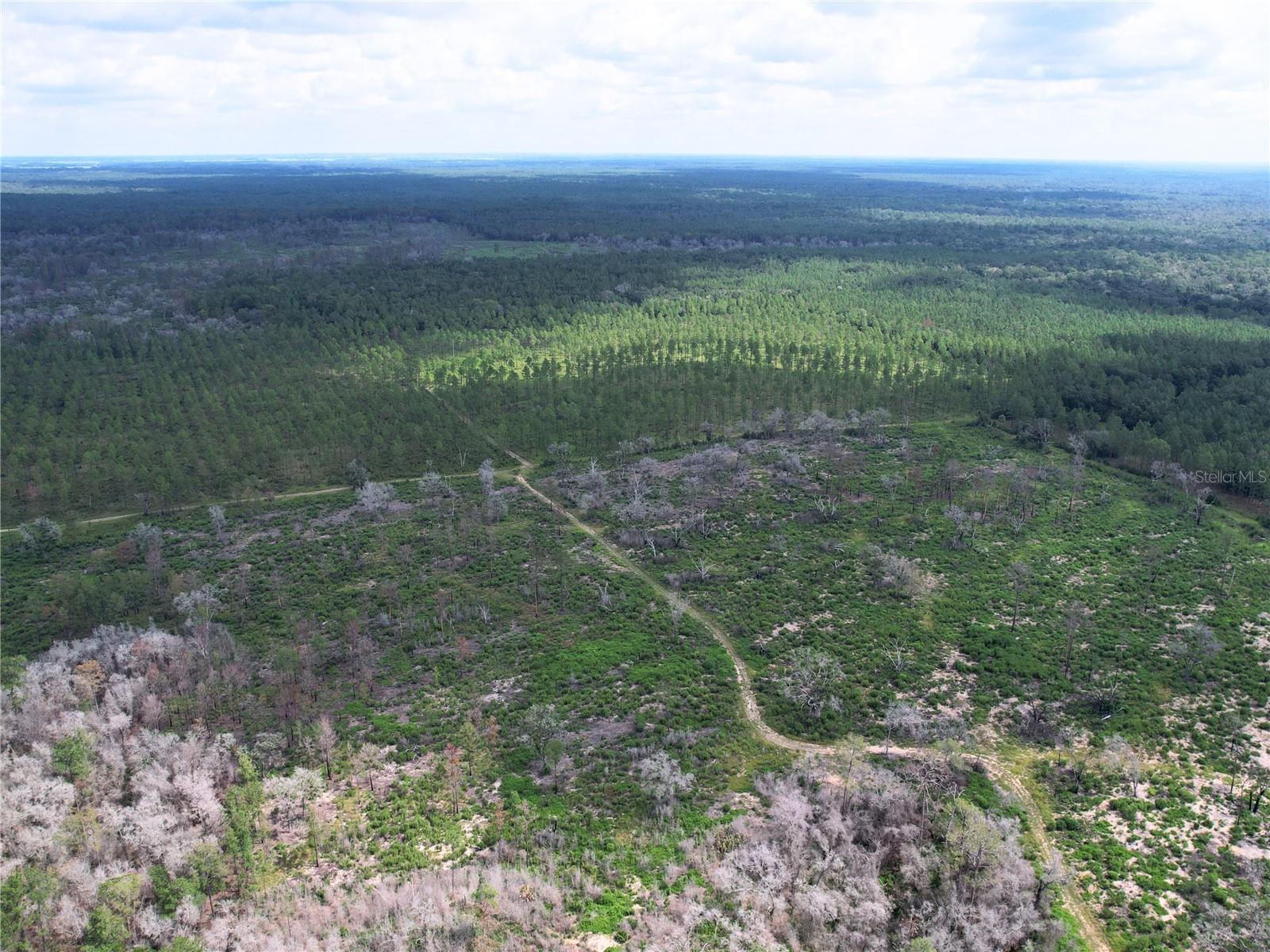 7112 N LECANTO HWY HWY, HERNANDO, FL, 34442