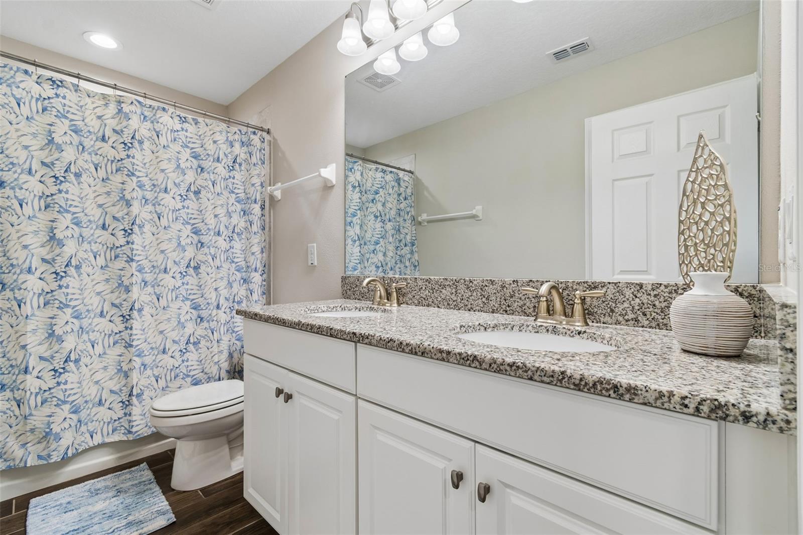 11433 ALACHUA CREEK LN, RIVERVIEW, FL, 33579