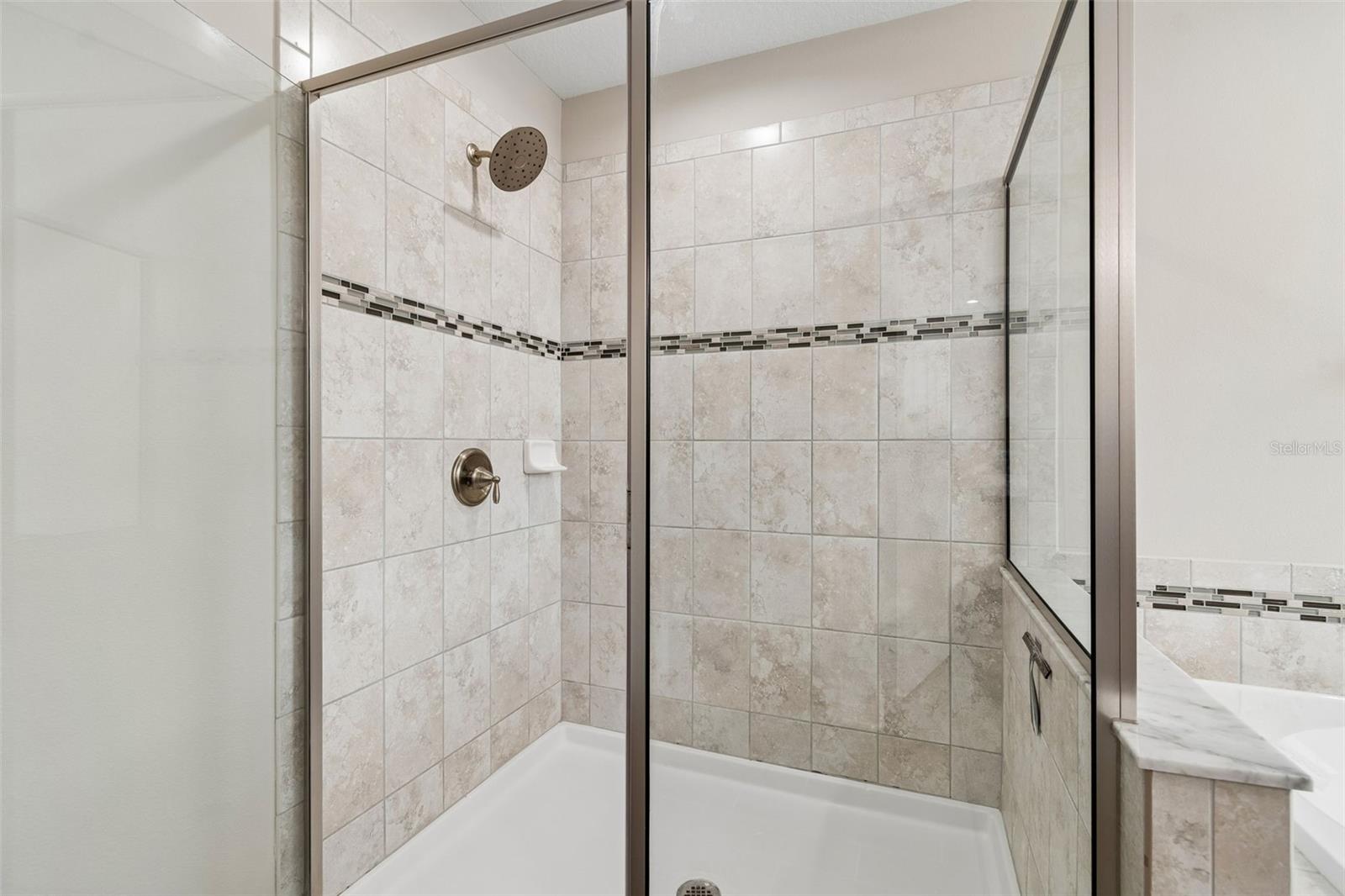 11433 ALACHUA CREEK LN, RIVERVIEW, FL, 33579