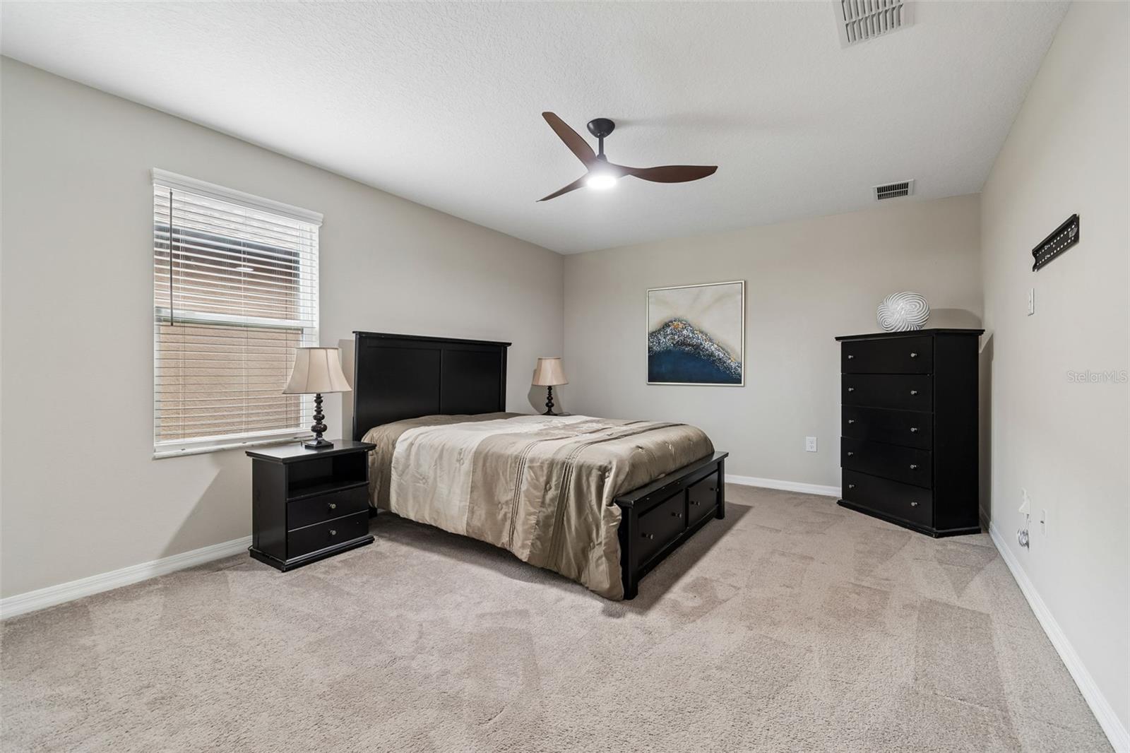 11433 ALACHUA CREEK LN, RIVERVIEW, FL, 33579