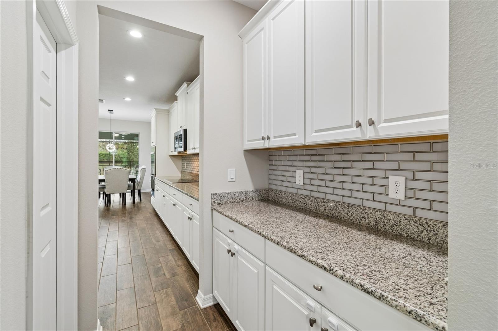 11433 ALACHUA CREEK LN, RIVERVIEW, FL, 33579