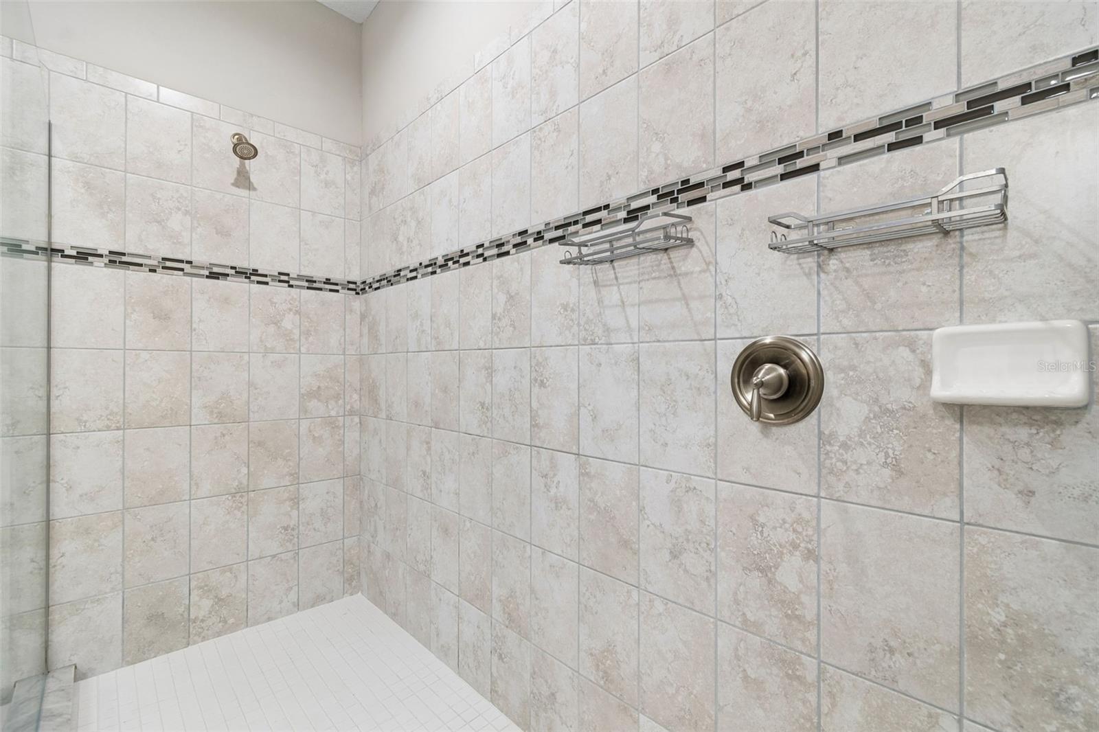 11433 ALACHUA CREEK LN, RIVERVIEW, FL, 33579