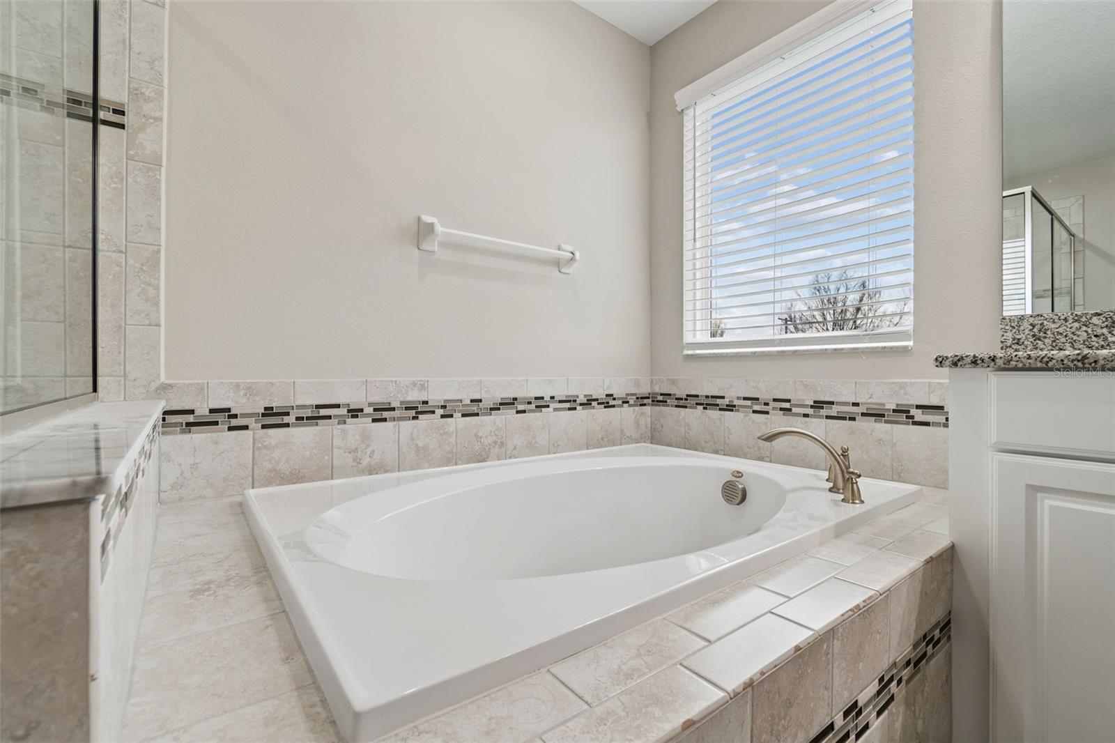 11433 ALACHUA CREEK LN, RIVERVIEW, FL, 33579