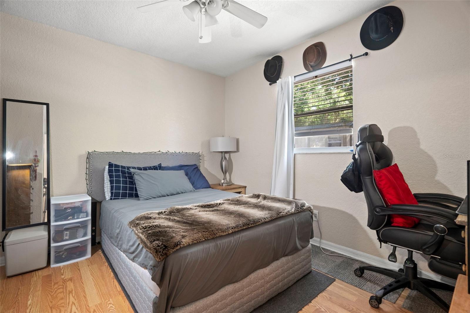 2903 W PAXTON, TAMPA, FL, 33611