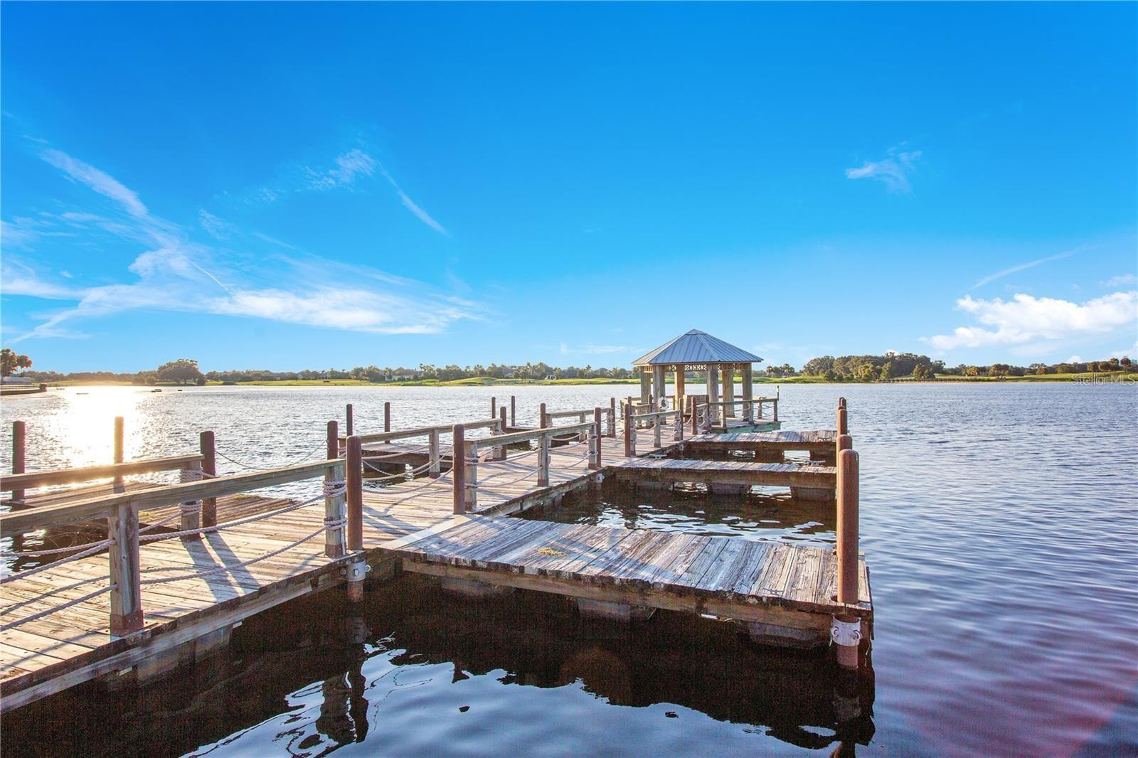 909 VANILLA LEAF PL, THE VILLAGES, FL, 32163