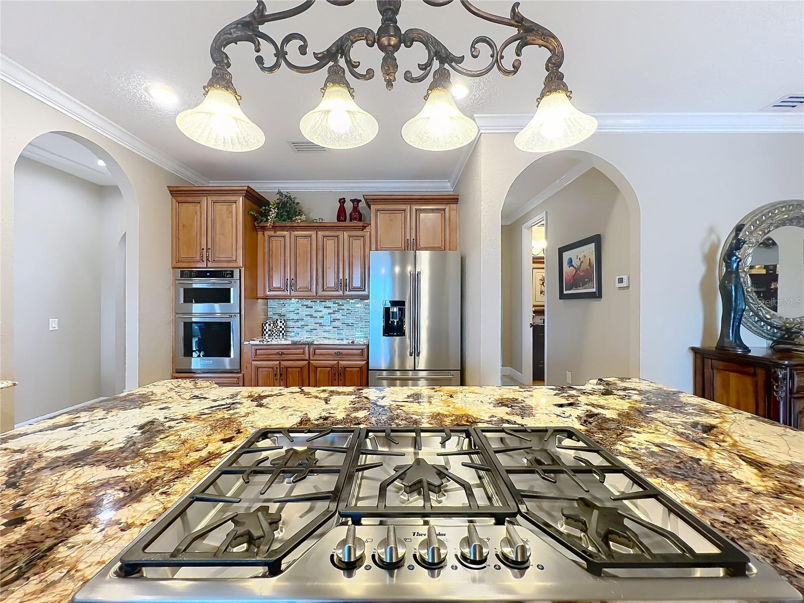 1755 LAKE TERRACE DR, EUSTIS, FL, 32726