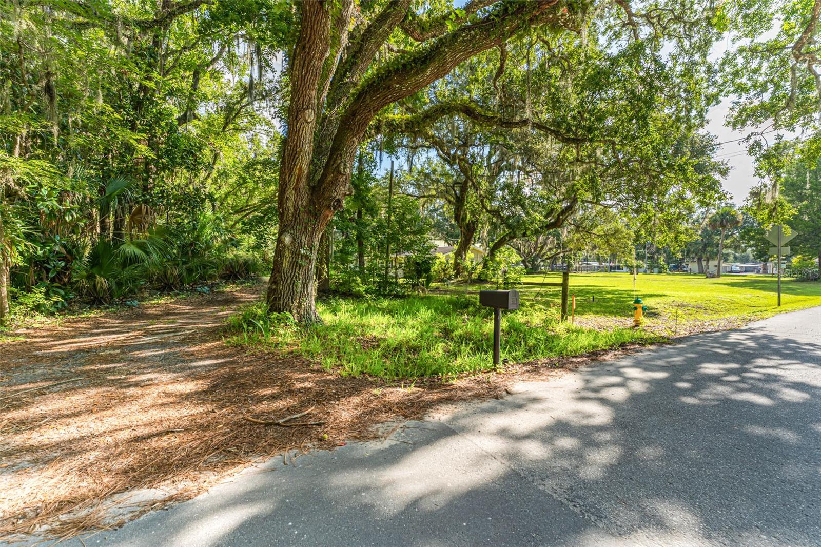 8585 W MISS MAGGIE DR, HOMOSASSA, FL, 34448