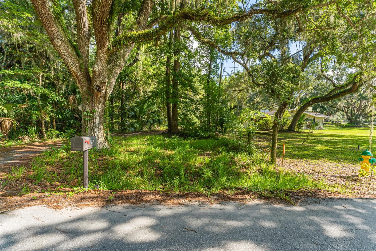 8585 W MISS MAGGIE DR, HOMOSASSA, FL, 34448