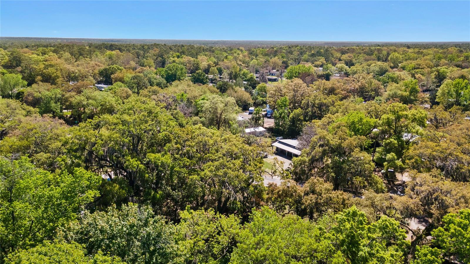 8533 W MISS MAGGIE DR, HOMOSASSA, FL, 34448