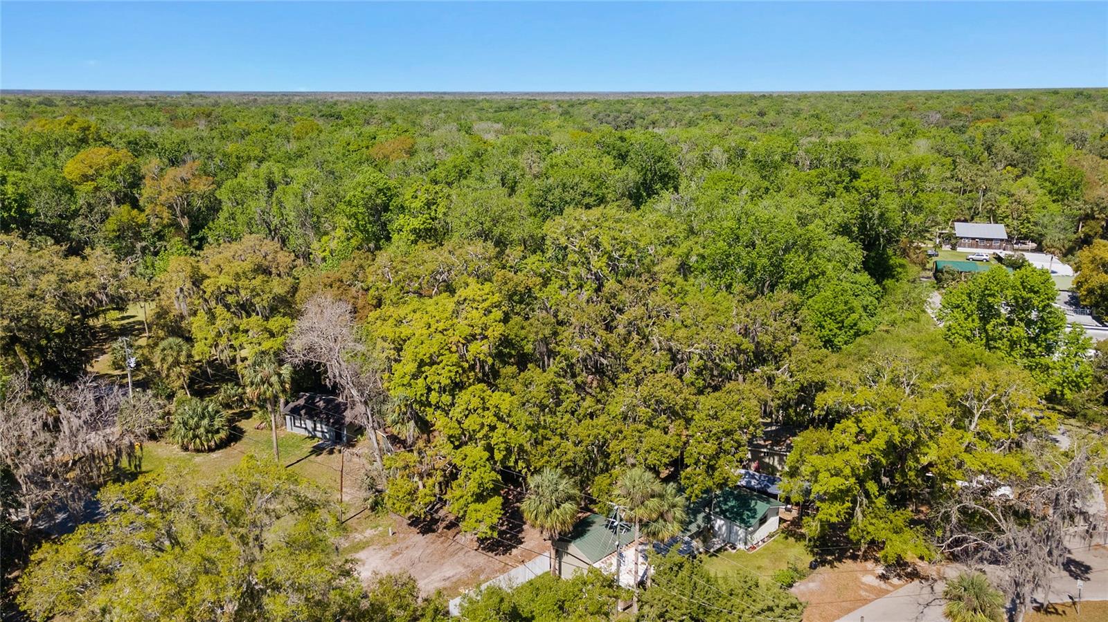 8533 W MISS MAGGIE DR, HOMOSASSA, FL, 34448