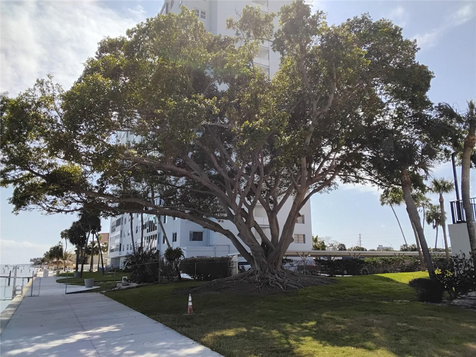 Water front stroll anyone?